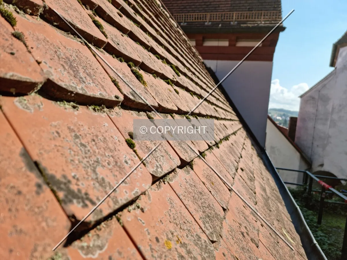 Photo 452-259-681