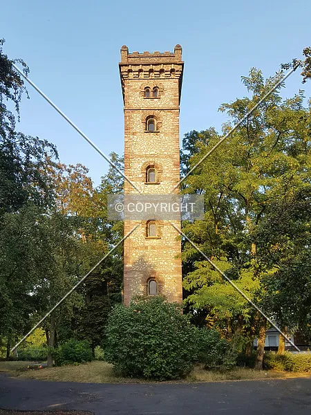 Photo 452-842-381
