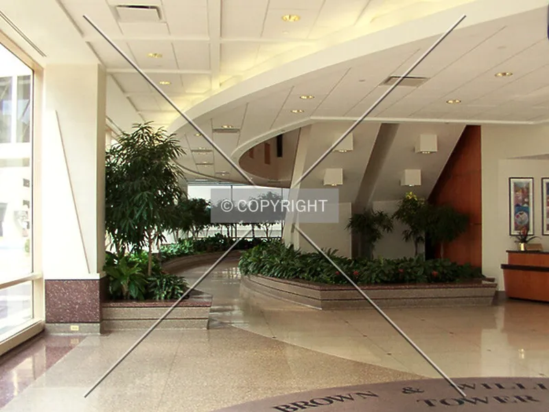 Photo 453-345-373