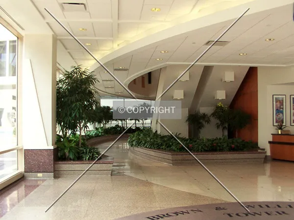 Photo 453-345-373