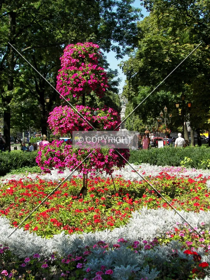 Floral composition at Svobody Avenue