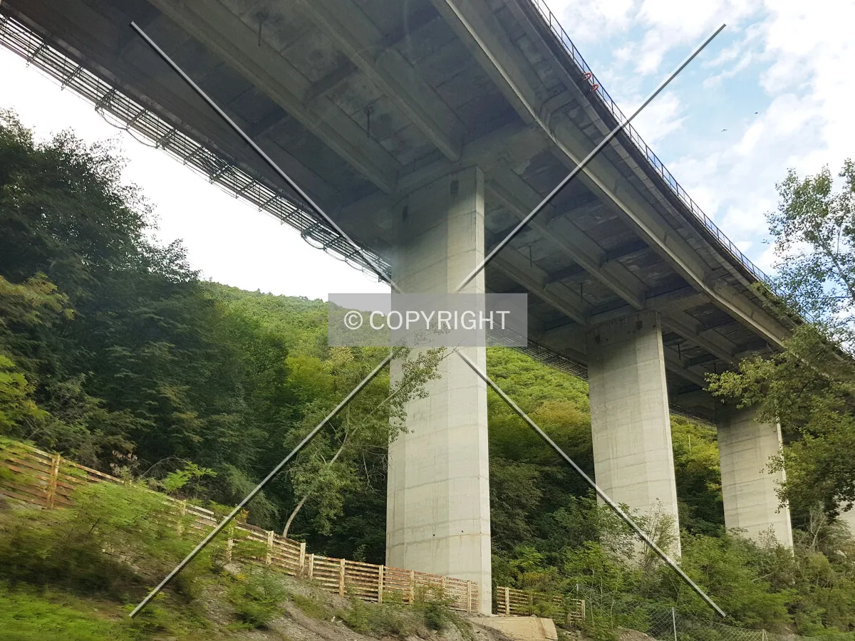 Photo 454-329-412