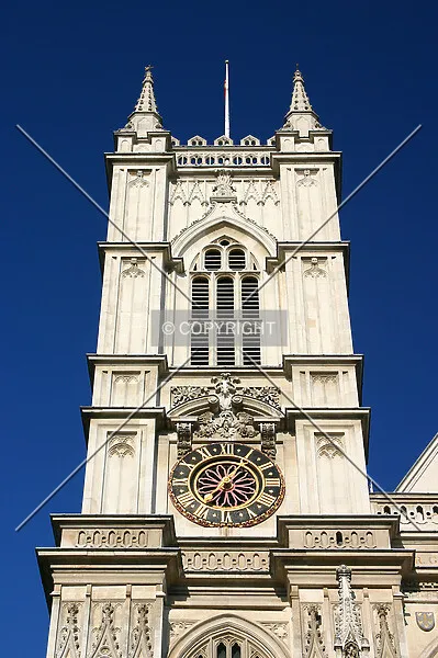 Photo 454-489-464