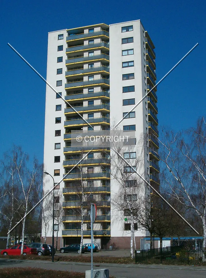 View from the south