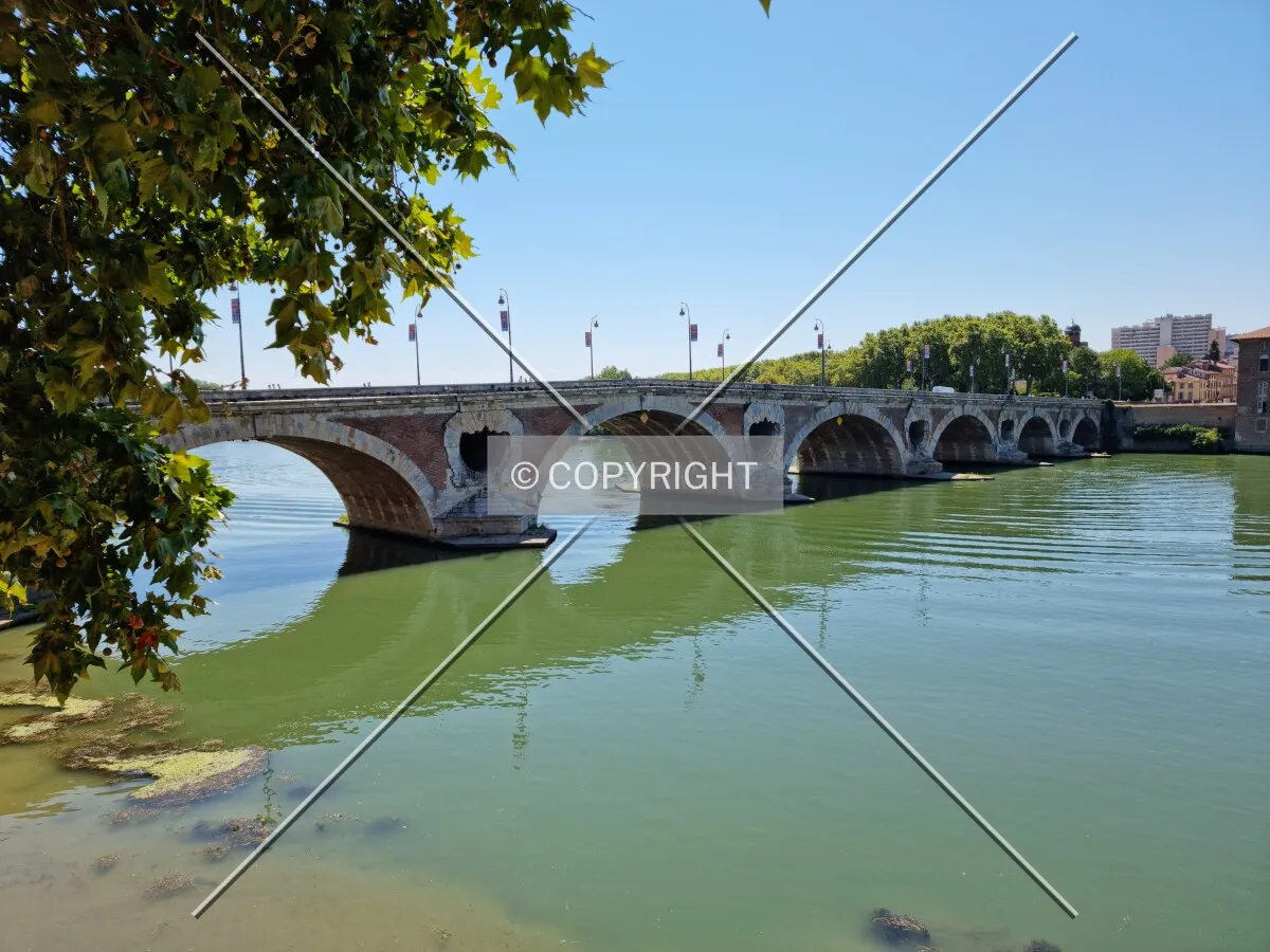 Photo 454-650-633