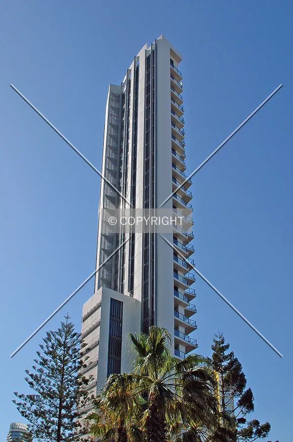 Looking up from Anne Avenue