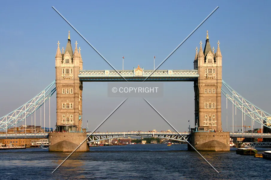 Photo 455-121-523