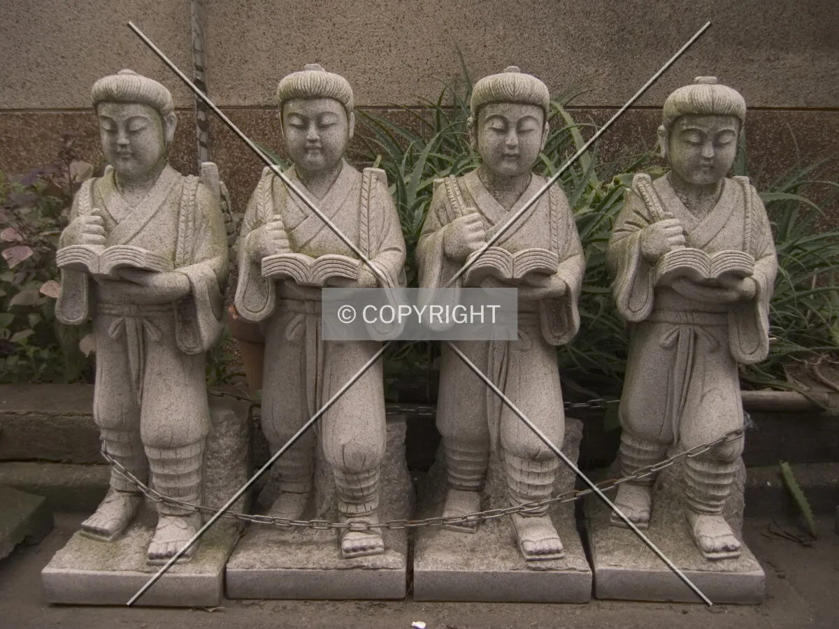 Photo 455-313-484