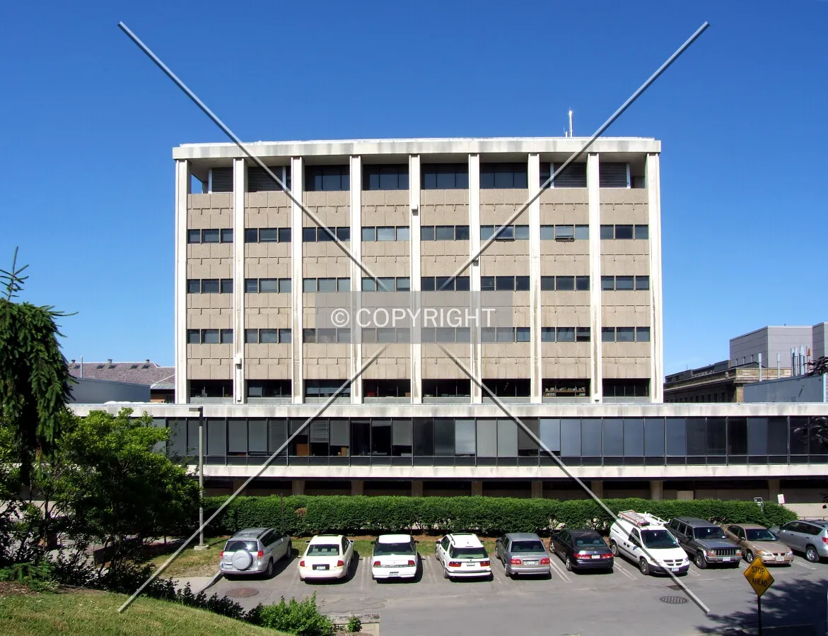 View from the east