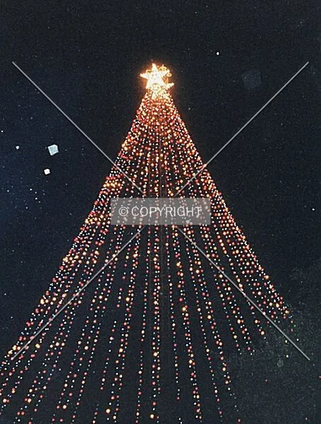 Photo 455-519-215