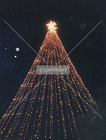 Light snow in Austin, Texas at the Big Tree
