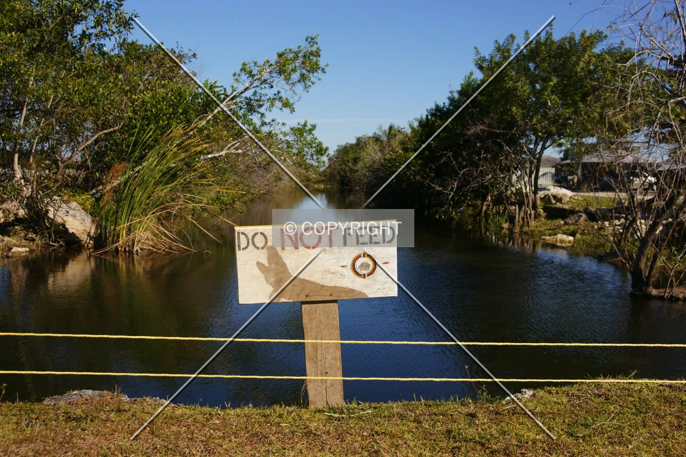 Photo 455-571-843