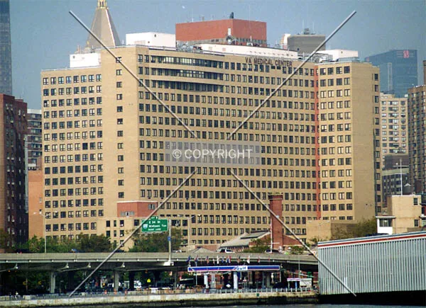 View from the East River