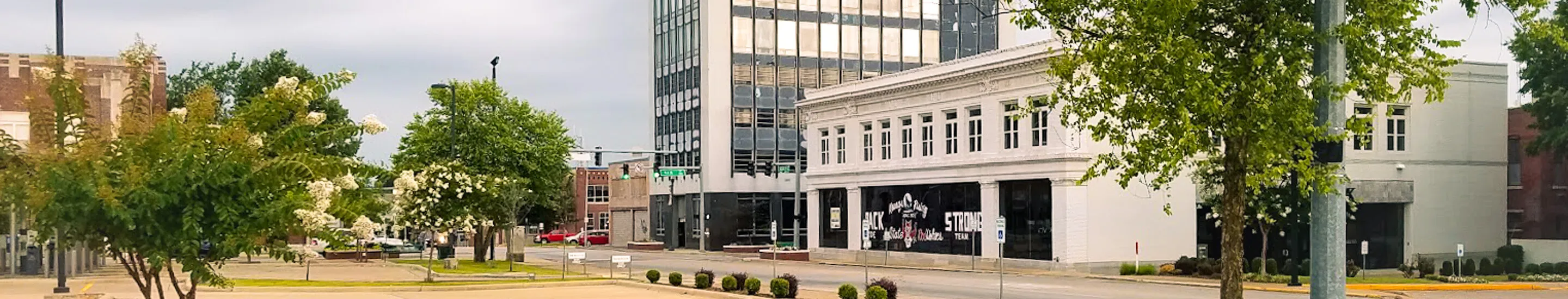 Panorama of Jonesboro