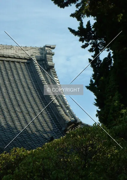 Photo 455-960-179