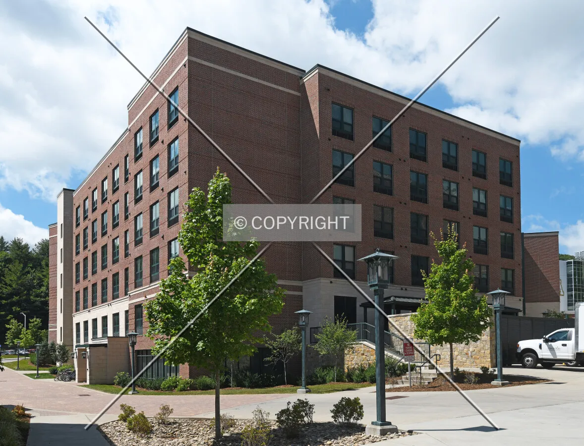 Photo 456-645-393