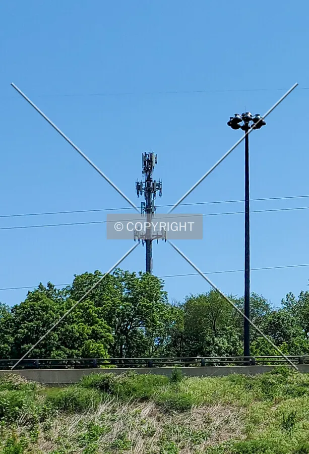 Southwest view; June 6, 2020