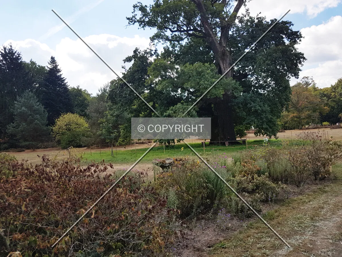 Schloß Wolfsgarten in 2018