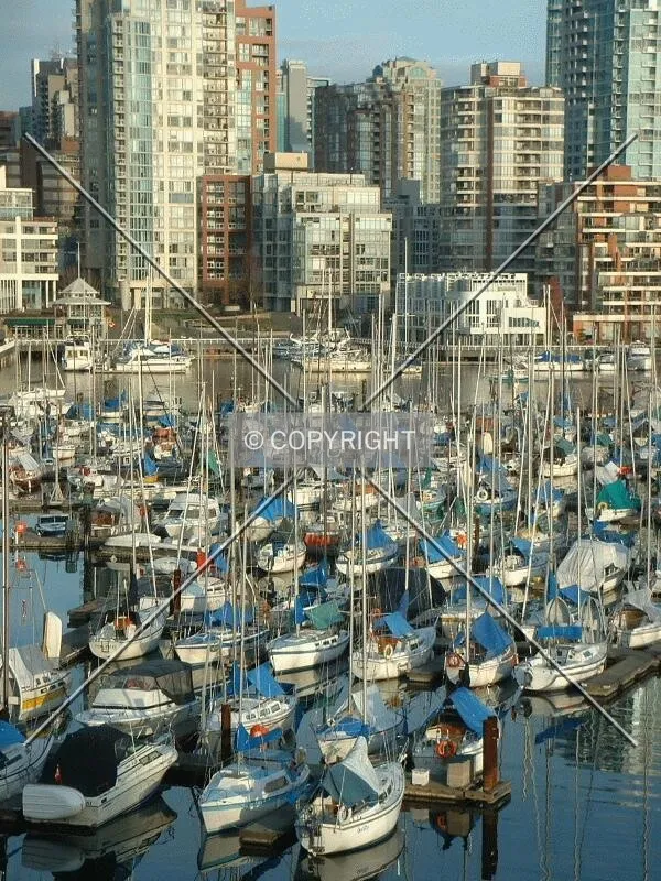 False Creek