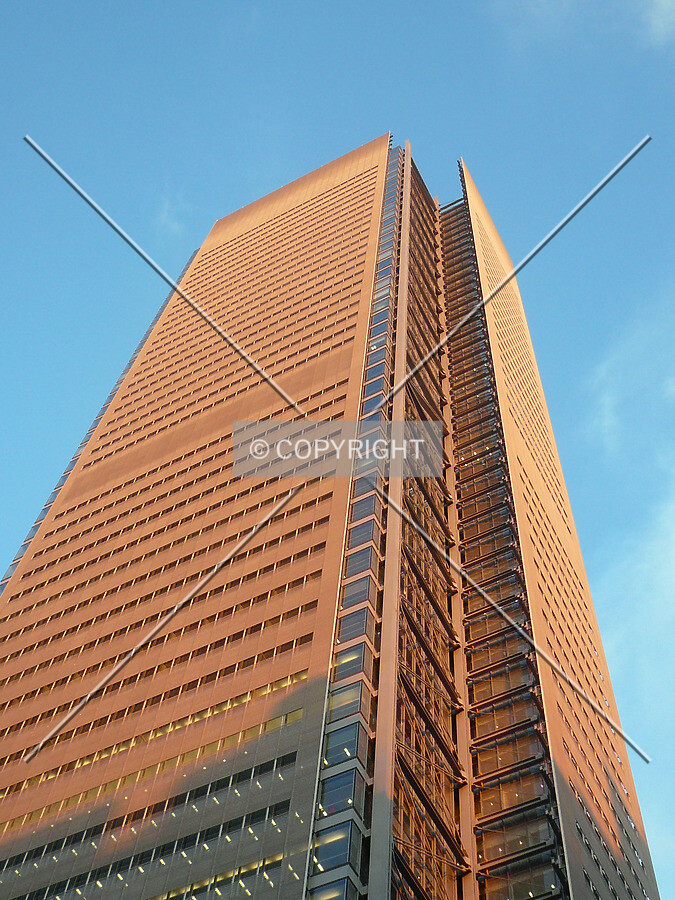 The west and south facades in late afternoon light