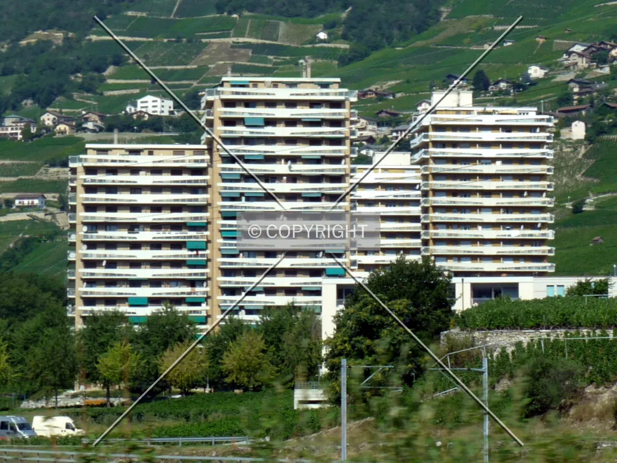 View from the east