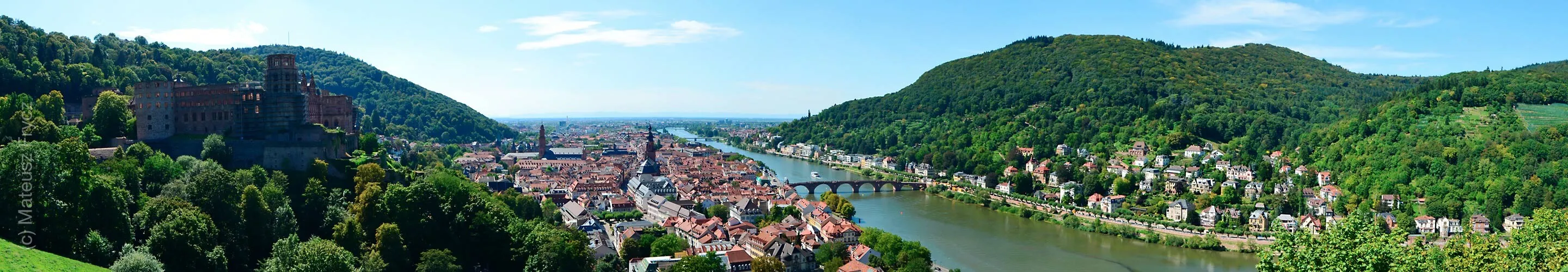 Panorama of Heidelberg