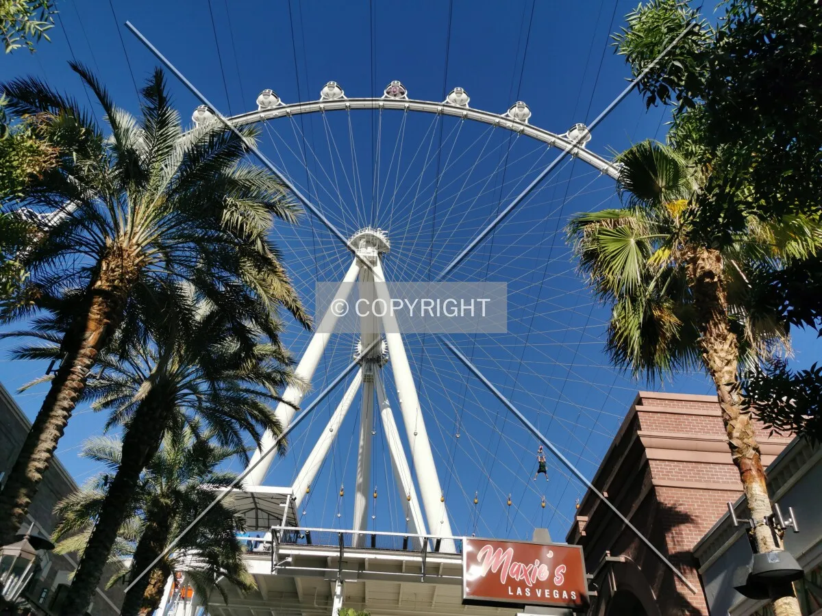 Photo 458-096-877