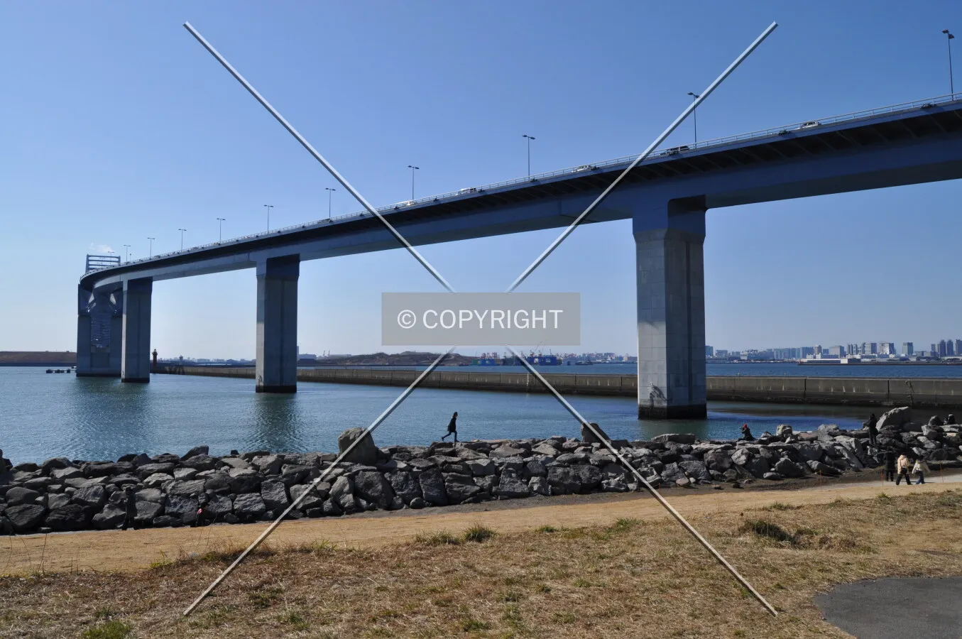 Photo 458-236-040