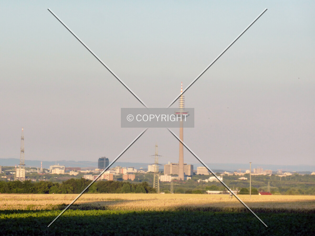 Photo 458-249-884