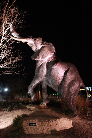 Photo 458-271-573