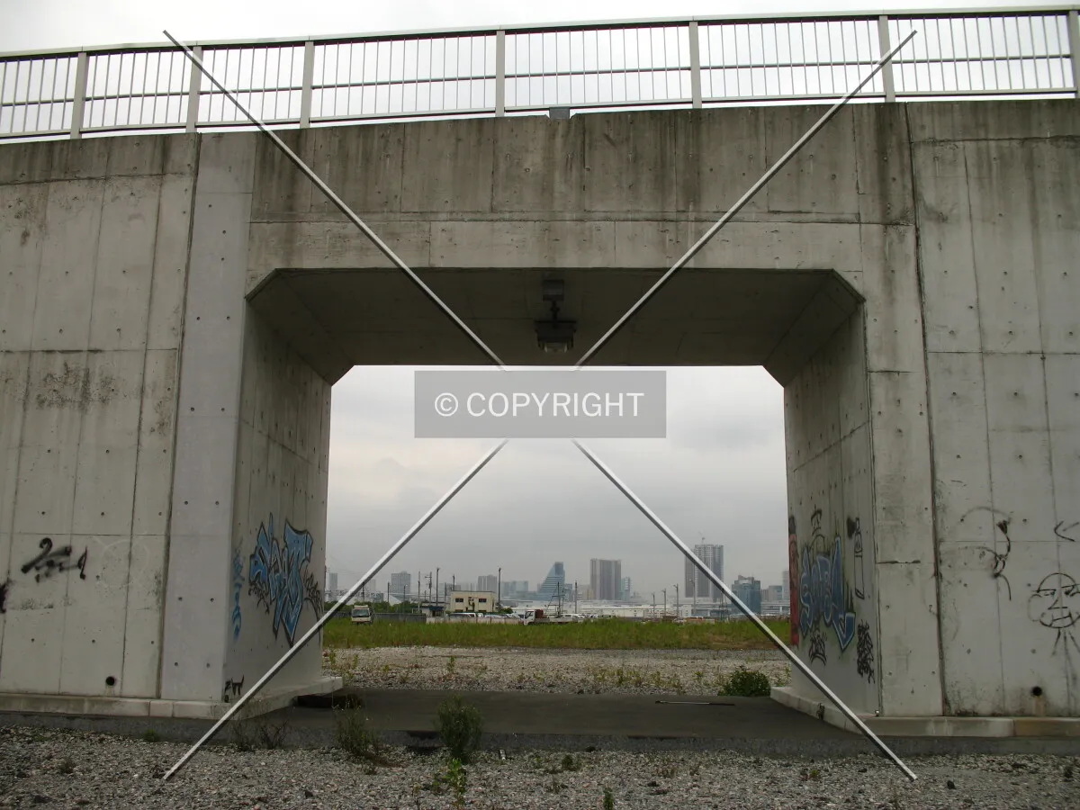 Photo 458-285-844