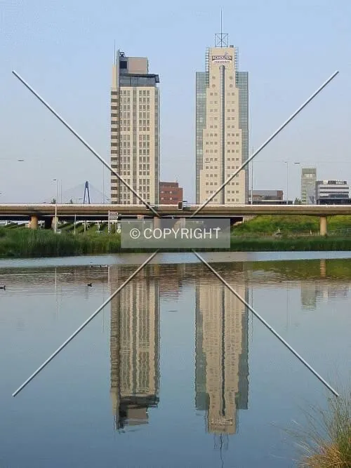 View from the west