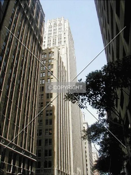 Photo 458-410-209