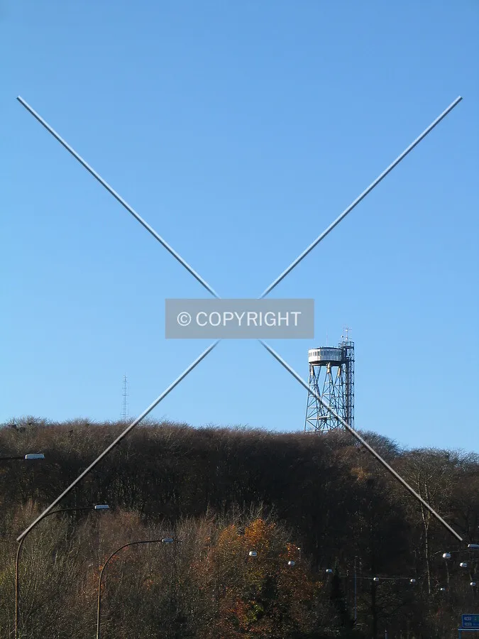The tower rising itself high above the trees