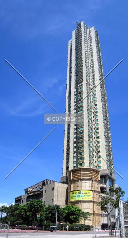 Looking up from Hoi Fan Road