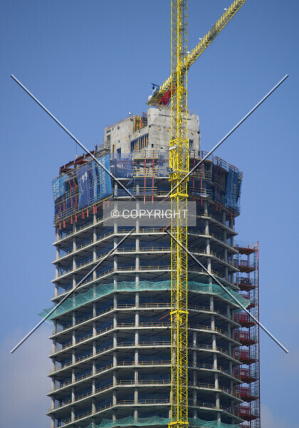 Photo 459-203-035