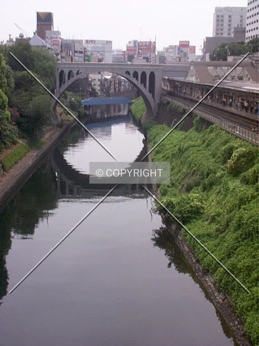 Photo 459-381-014