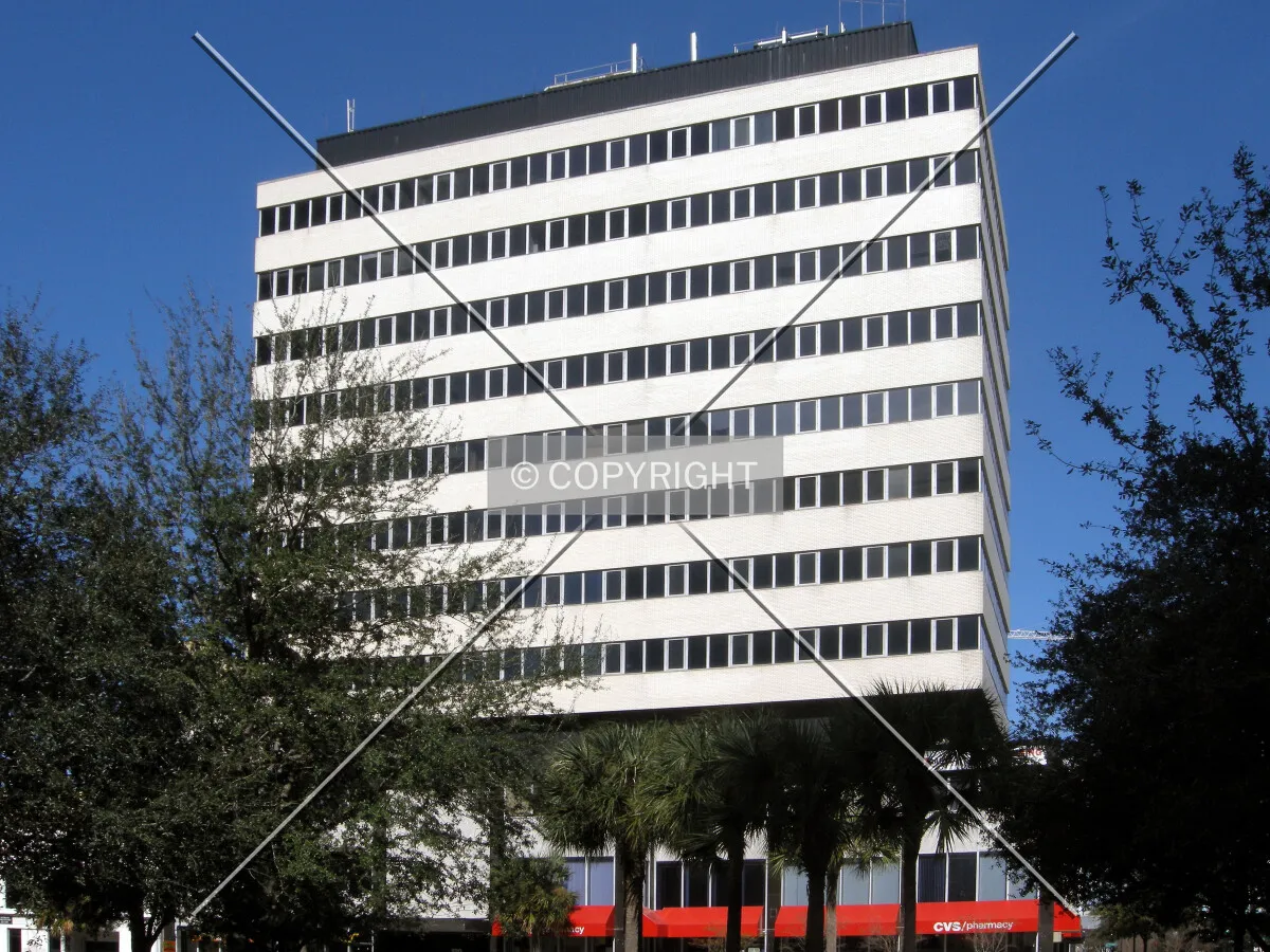 View from the south