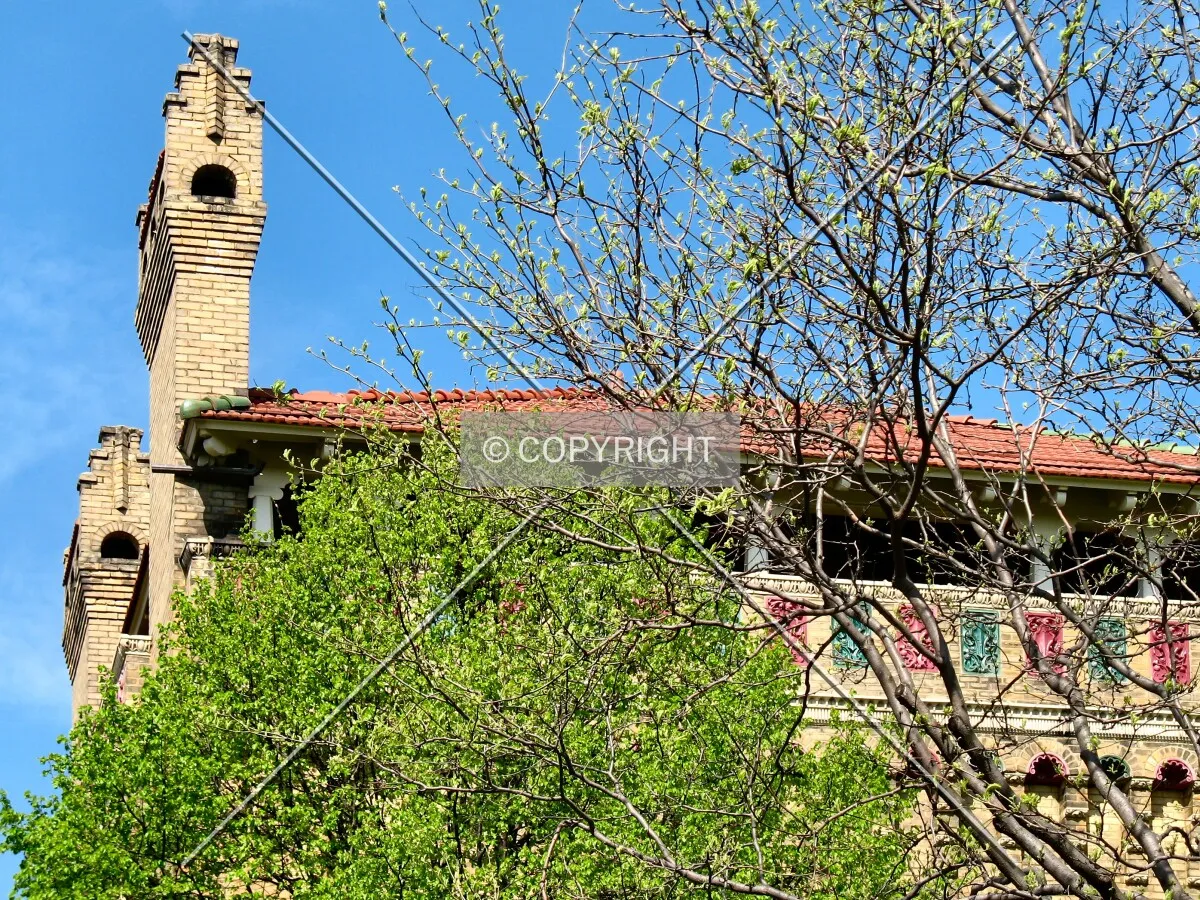 Rising above greening trees