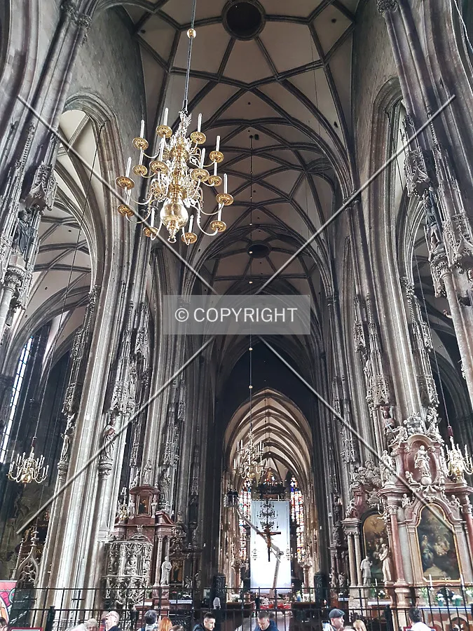Photo 459-664-830