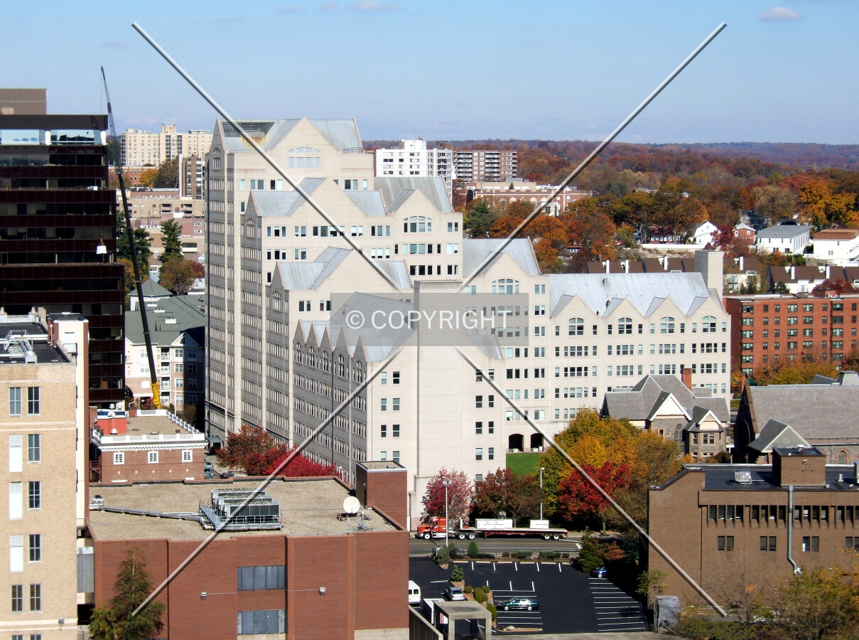 View from the southwest
