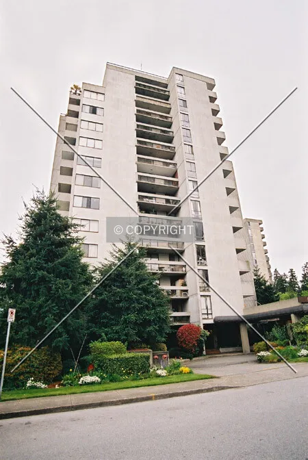 Photo 459-825-213