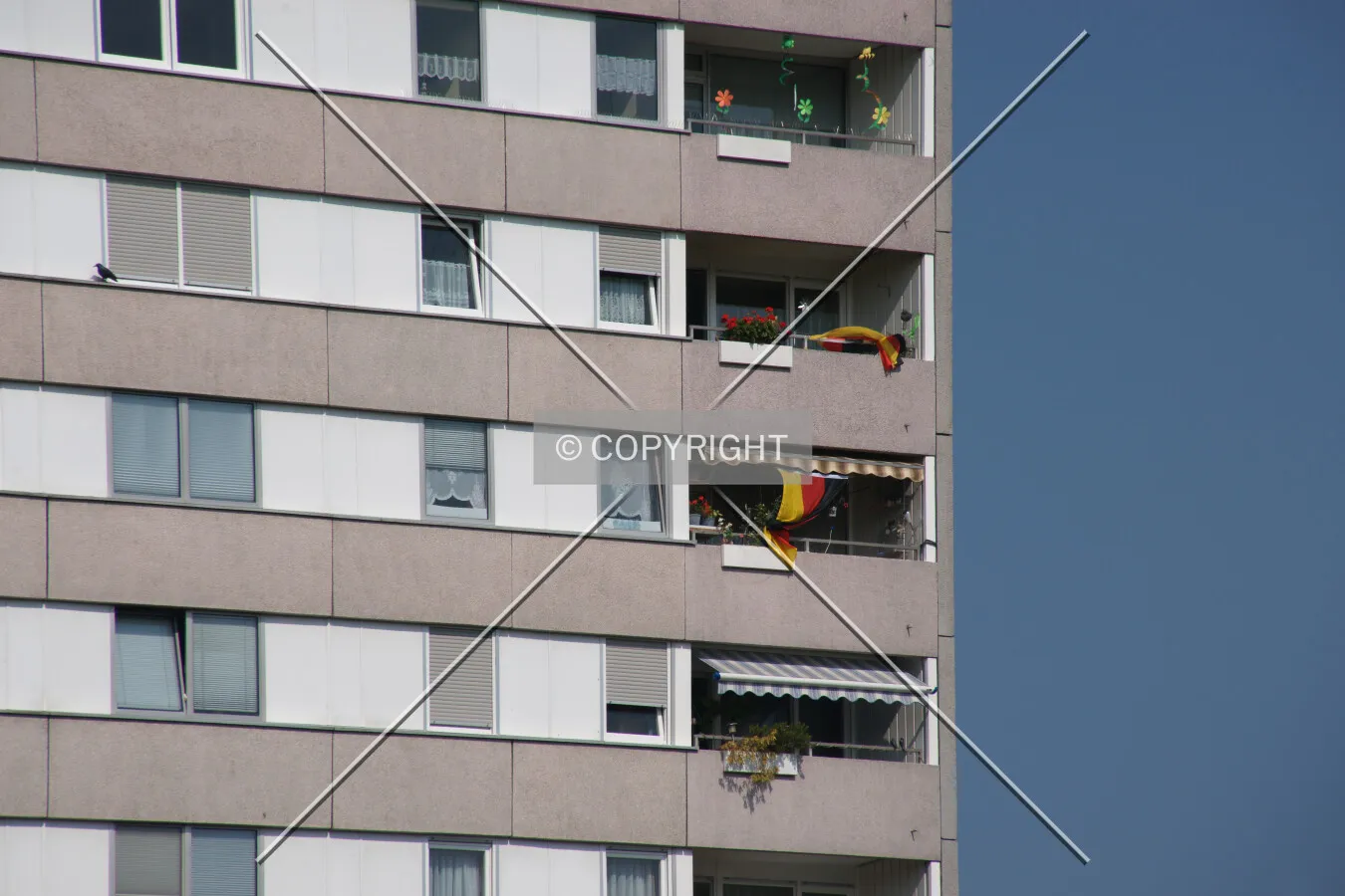Photo 459-937-629