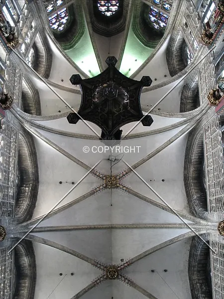 Photo 460-142-618