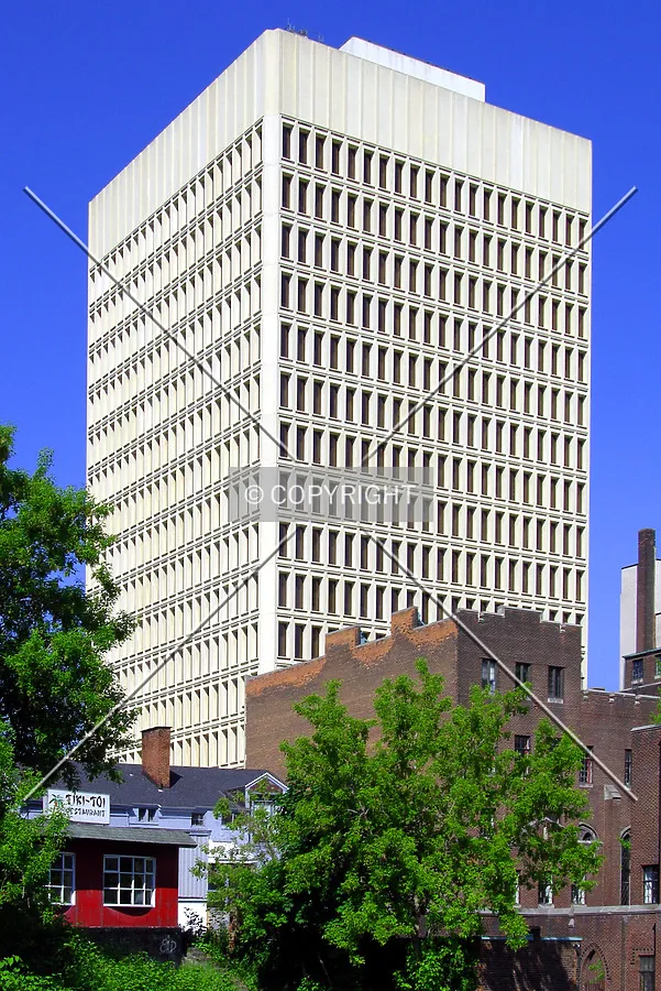 View from the east on Charlotte Terrace