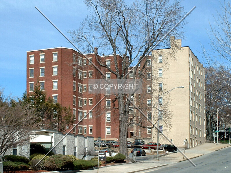 Photo 460-435-887