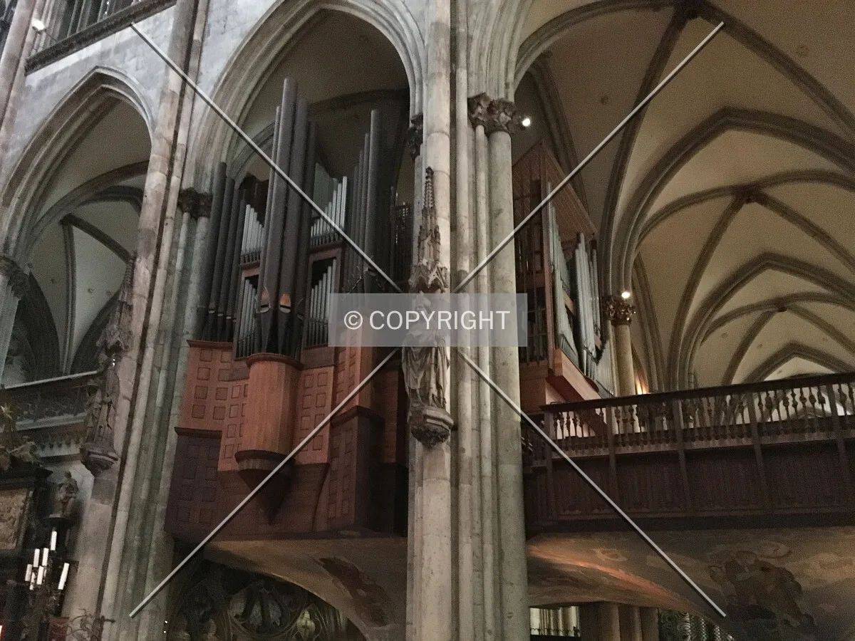 Photo 460-788-735