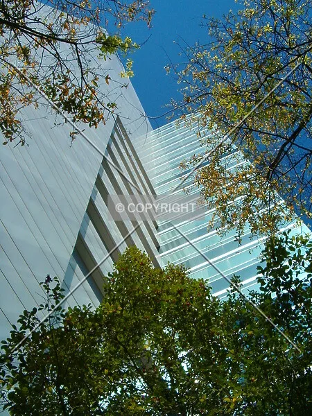 Photo 461-157-257