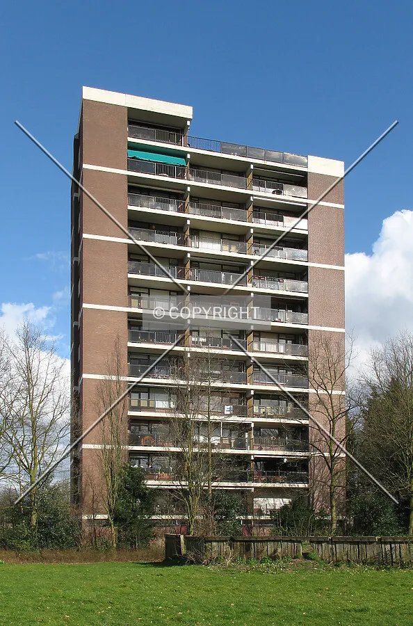 View from the southwest