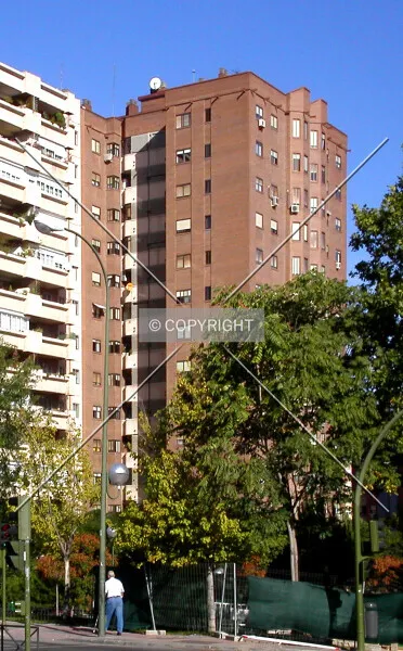 Photo 461-570-551